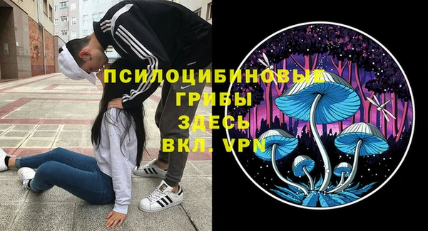 ешки Абинск