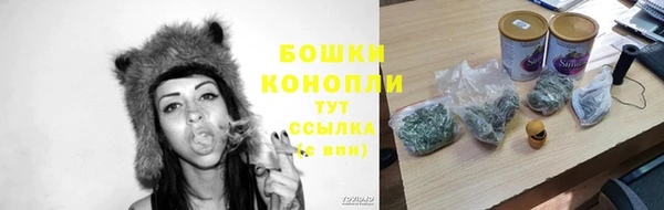бошки Абаза