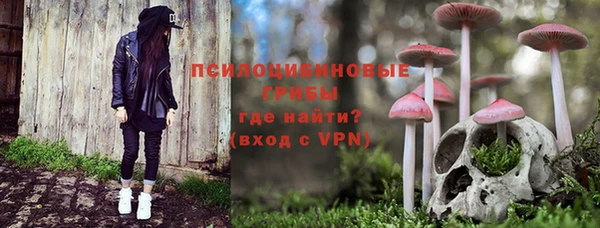 ешки Абинск