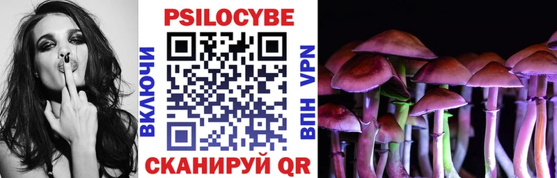 даркнет состав blacksprut онион Ладушкин где купить наркоту Галлюциногенные грибы Psilocybe